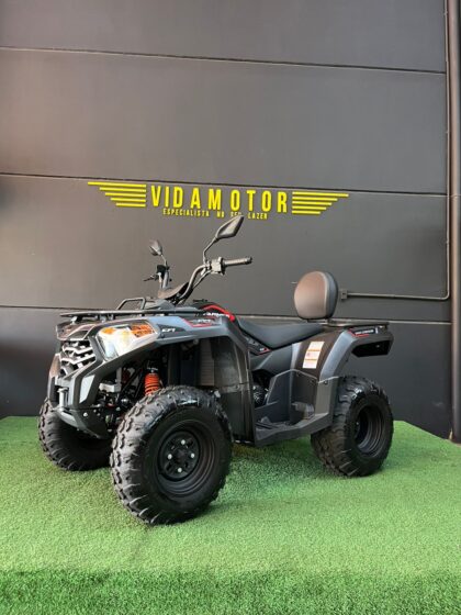 Quadriciclo Fun Motors- farmer 300cc 4x2 cinza