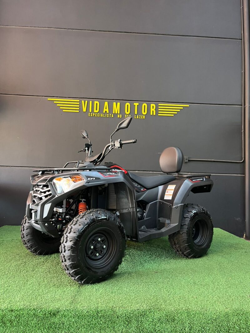 Quadriciclo Fun Motors- farmer 300cc 4x2 cinza